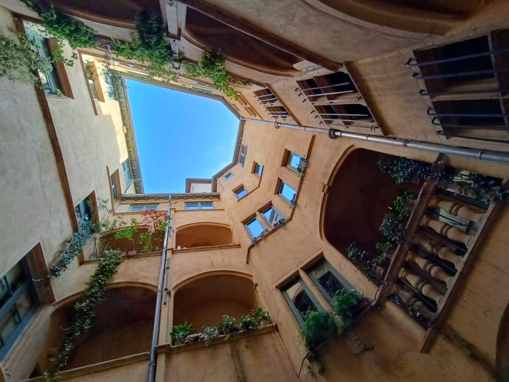 In the heart of a sunny traboule in Old Lyon